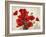 Bouquet of Poppies-Jenny Thomlinson-Framed Art Print