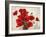 Bouquet of Poppies-Jenny Thomlinson-Framed Art Print