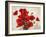 Bouquet of Poppies-Jenny Thomlinson-Framed Art Print