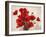 Bouquet of Poppies-Jenny Thomlinson-Framed Art Print