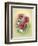 Bouquet of Poppies-Olga And Alexey Drozdov-Framed Giclee Print