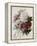 Bouquet of Red, Purple and White Peonies-Pierre Joseph Redouté-Framed Premier Image Canvas