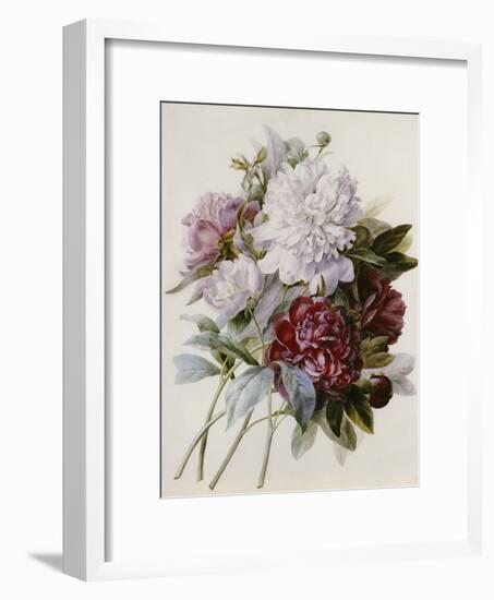 Bouquet of Red, Purple and White Peonies-Pierre Joseph Redouté-Framed Giclee Print