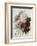 Bouquet of Red, Purple and White Peonies-Pierre Joseph Redouté-Framed Giclee Print