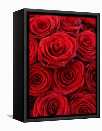 Bouquet of Red Roses-Owen Franken-Framed Premier Image Canvas