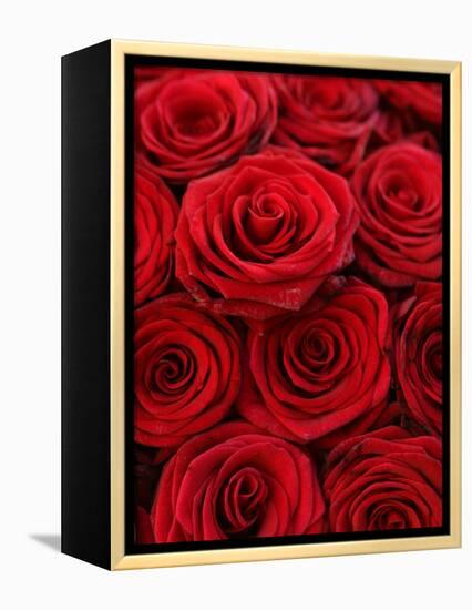 Bouquet of Red Roses-Owen Franken-Framed Premier Image Canvas