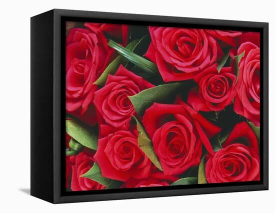 Bouquet of Red Roses-Clive Nichols-Framed Premier Image Canvas