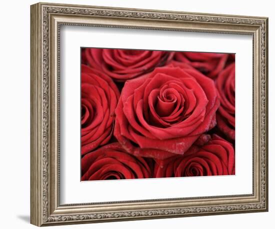 Bouquet of Red Roses-Owen Franken-Framed Photographic Print