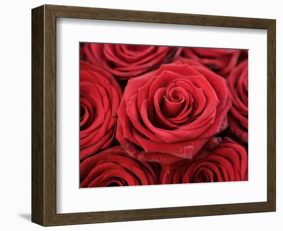 Bouquet of Red Roses-Owen Franken-Framed Photographic Print