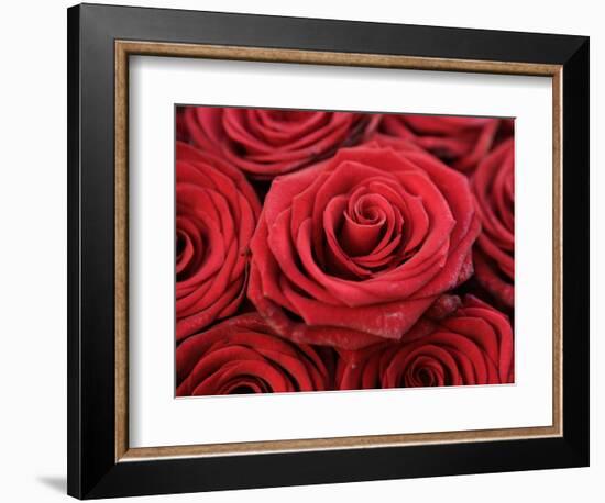 Bouquet of Red Roses-Owen Franken-Framed Photographic Print