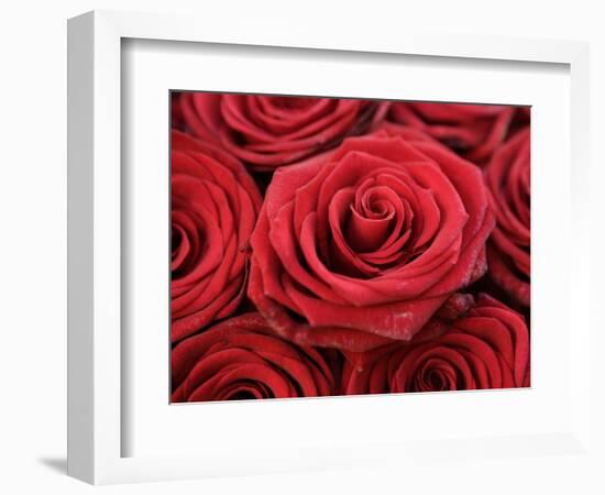 Bouquet of Red Roses-Owen Franken-Framed Photographic Print