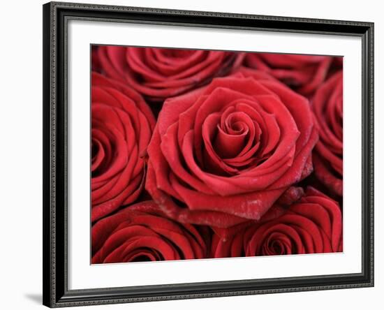 Bouquet of Red Roses-Owen Franken-Framed Photographic Print