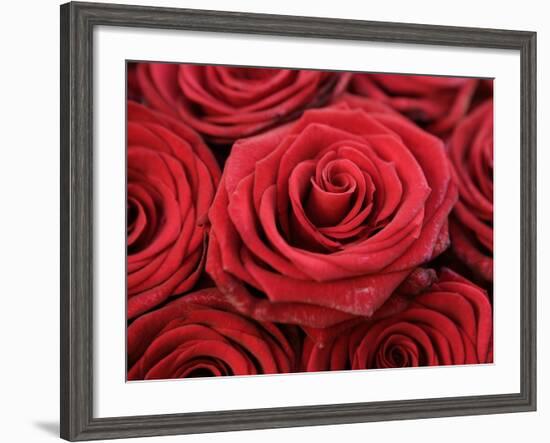 Bouquet of Red Roses-Owen Franken-Framed Photographic Print