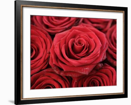 Bouquet of Red Roses-Owen Franken-Framed Photographic Print