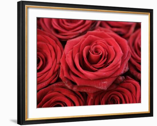 Bouquet of Red Roses-Owen Franken-Framed Photographic Print