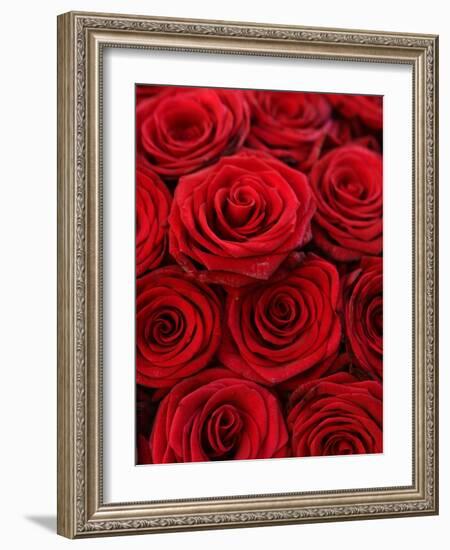 Bouquet of Red Roses-Owen Franken-Framed Photographic Print