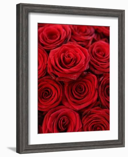 Bouquet of Red Roses-Owen Franken-Framed Photographic Print