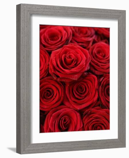 Bouquet of Red Roses-Owen Franken-Framed Photographic Print