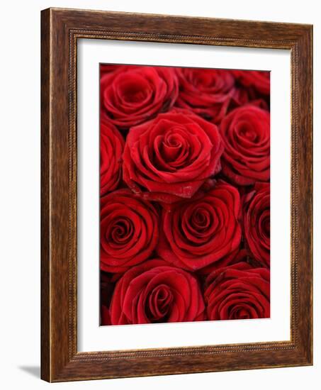 Bouquet of Red Roses-Owen Franken-Framed Photographic Print