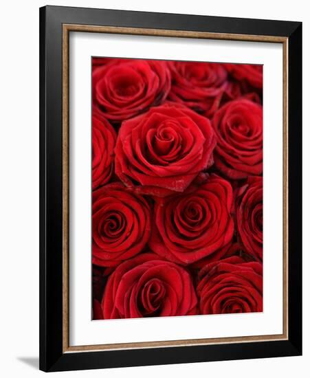 Bouquet of Red Roses-Owen Franken-Framed Photographic Print