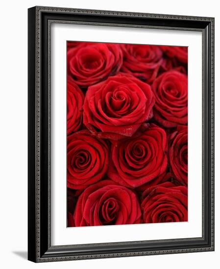 Bouquet of Red Roses-Owen Franken-Framed Photographic Print