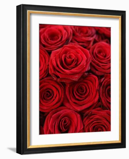 Bouquet of Red Roses-Owen Franken-Framed Photographic Print