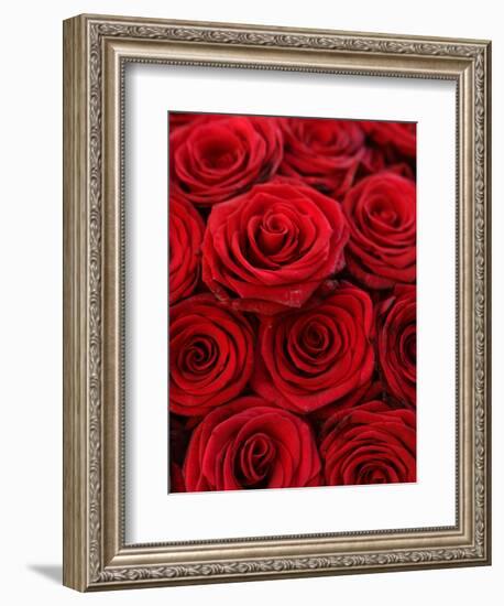 Bouquet of Red Roses-Owen Franken-Framed Photographic Print