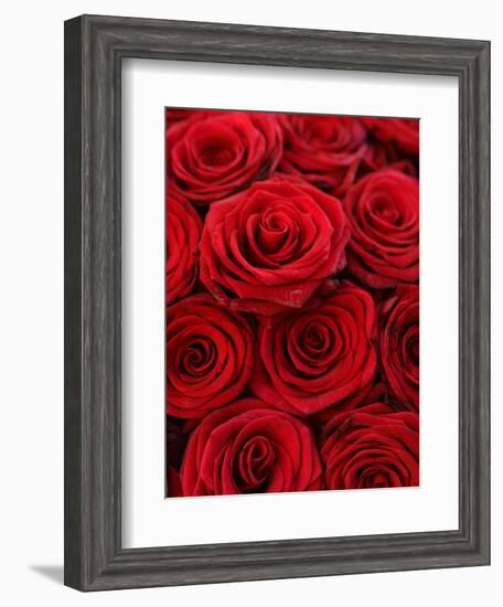 Bouquet of Red Roses-Owen Franken-Framed Photographic Print