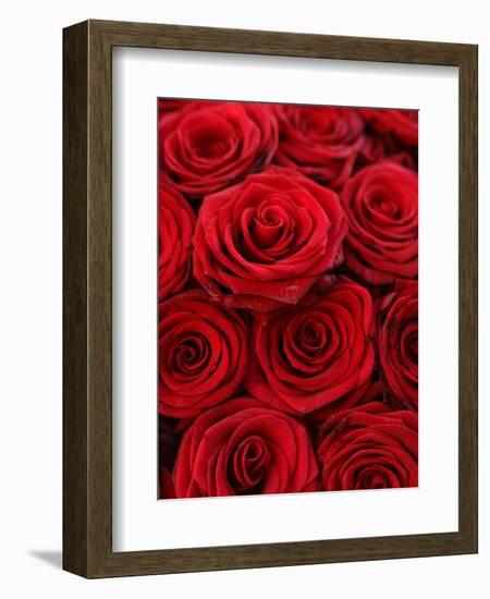 Bouquet of Red Roses-Owen Franken-Framed Photographic Print