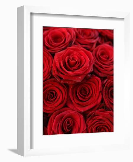 Bouquet of Red Roses-Owen Franken-Framed Photographic Print