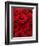 Bouquet of Red Roses-Owen Franken-Framed Photographic Print