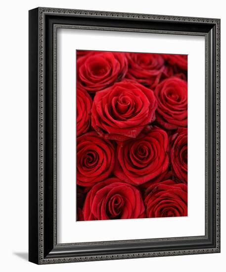 Bouquet of Red Roses-Owen Franken-Framed Photographic Print