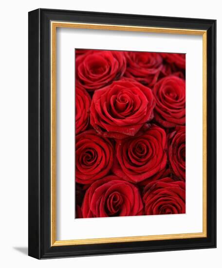 Bouquet of Red Roses-Owen Franken-Framed Photographic Print