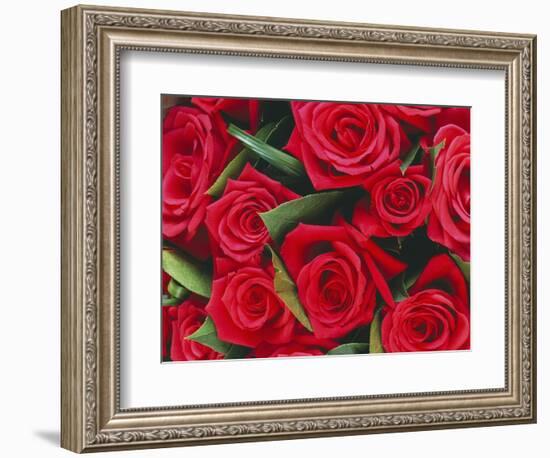 Bouquet of Red Roses-Clive Nichols-Framed Photographic Print