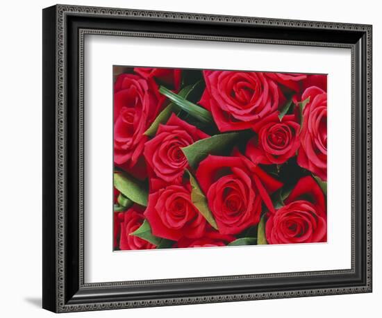 Bouquet of Red Roses-Clive Nichols-Framed Photographic Print