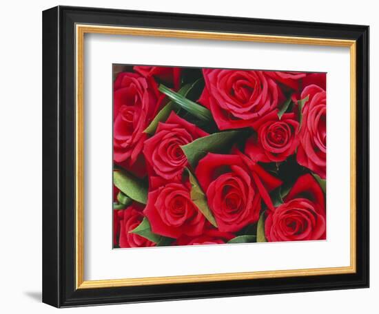 Bouquet of Red Roses-Clive Nichols-Framed Photographic Print