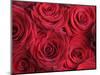 Bouquet of Red Roses-Clive Nichols-Mounted Photographic Print