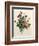 Bouquet of Rose and Lily of the Valley-Jean Louis Prevost-Framed Giclee Print