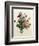 Bouquet of Rose and Lily of the Valley-Jean Louis Prevost-Framed Giclee Print