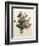 Bouquet of Rose and Lily of the Valley-Jean Louis Prevost-Framed Giclee Print