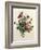 Bouquet of Rose and Lily of the Valley-Jean Louis Prevost-Framed Giclee Print