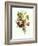 Bouquet of Rose, Lilac and Auricula-Jean Louis Prevost-Framed Giclee Print