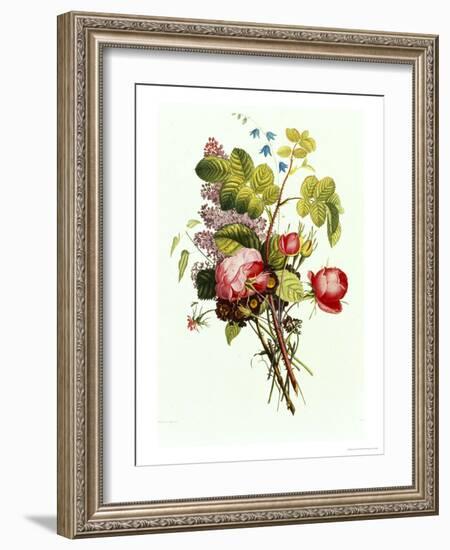 Bouquet of Rose, Lilac and Auricula-Jean Louis Prevost-Framed Giclee Print