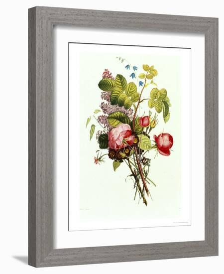 Bouquet of Rose, Lilac and Auricula-Jean Louis Prevost-Framed Giclee Print