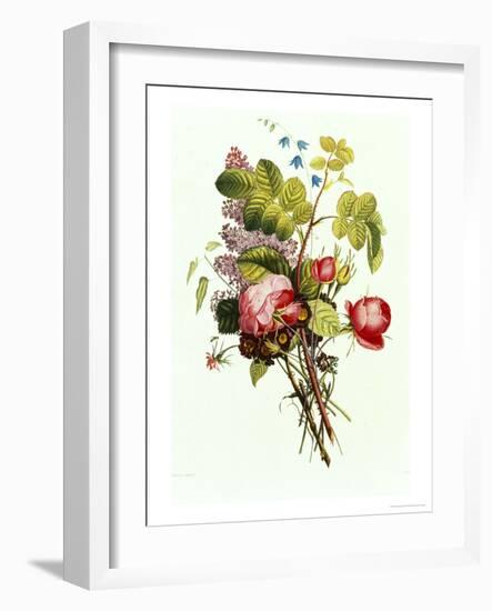 Bouquet of Rose, Lilac and Auricula-Jean Louis Prevost-Framed Giclee Print