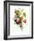 Bouquet of Rose, Lilac and Auricula-Jean Louis Prevost-Framed Giclee Print