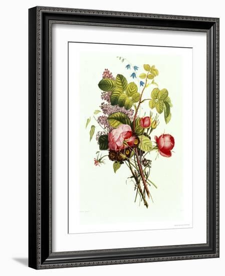 Bouquet of Rose, Lilac and Auricula-Jean Louis Prevost-Framed Giclee Print