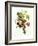 Bouquet of Rose, Lilac and Auricula-Jean Louis Prevost-Framed Giclee Print