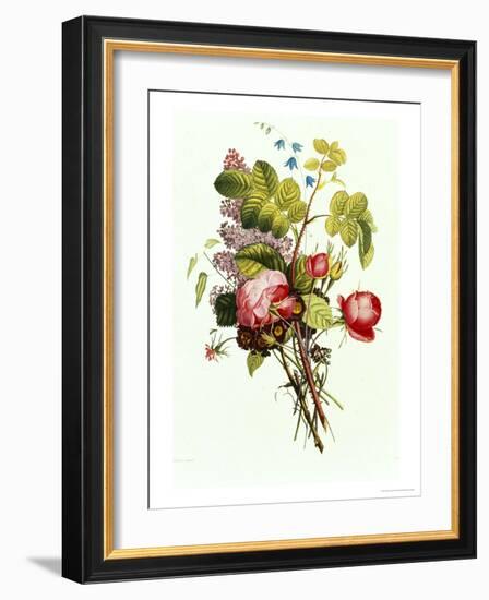 Bouquet of Rose, Lilac and Auricula-Jean Louis Prevost-Framed Giclee Print