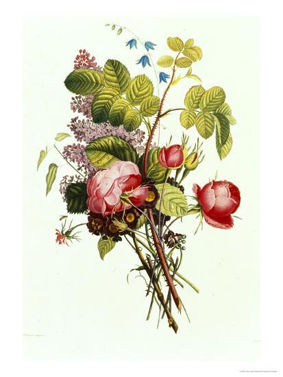 'Bouquet of Rose, Lilac and Auricula' Giclee Print - Jean Louis Prevost ...
